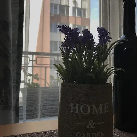 Sunny Shore Burgas Stad